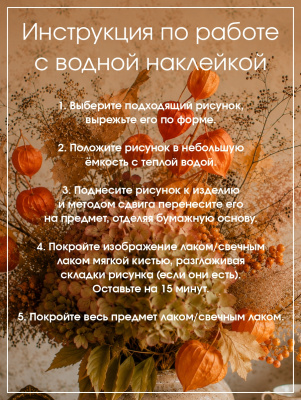Наклейки переводные для свечей и декора Физалис из каталога Наклейки декупажные для декора свечей, яиц, изделий из гипса, в интернет-магазине BPW.style